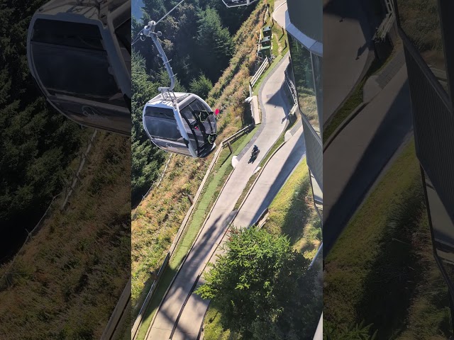 Luge rides underneath the skyline Gondola #girubabeulahse #luge #skyline #gondola #newzealand