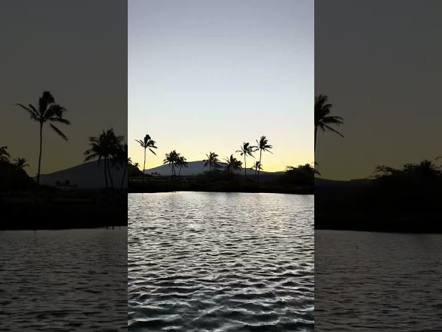 Sunrise #konahawaii #nature #naturelovers #naturesounds #birdsounds #calmingsounds #serenity