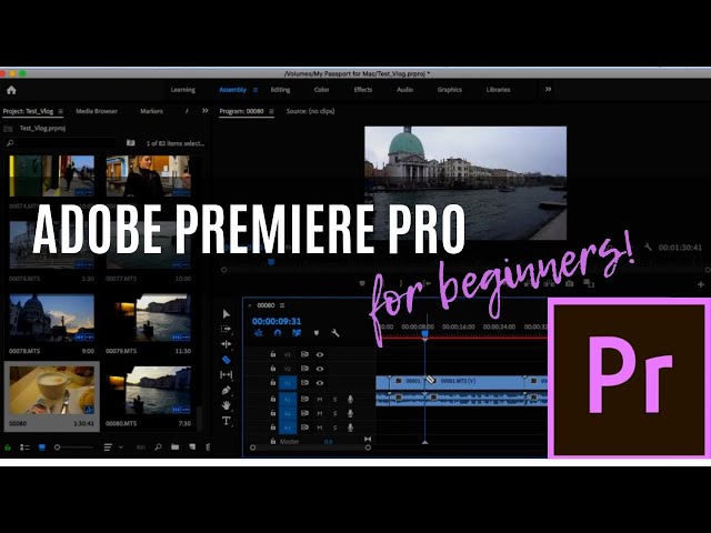 How to Edit With Adobe Premiere Pro (Beginners)