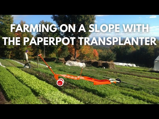 Farming on a Slope with the Paperpot Transplanter