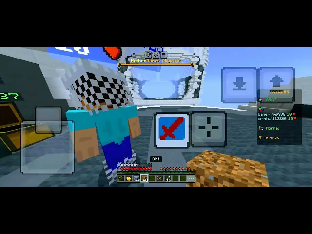 nethergames but I play skywars 2v2 without sword