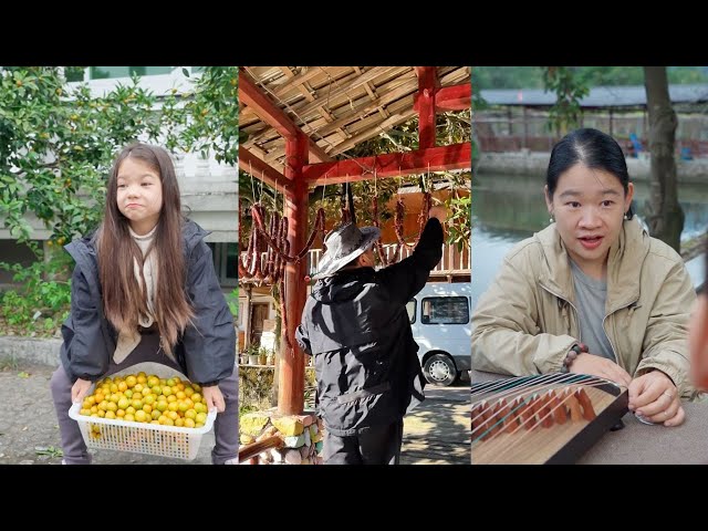 Before the frost, I asked two children to pick kumquats with me.