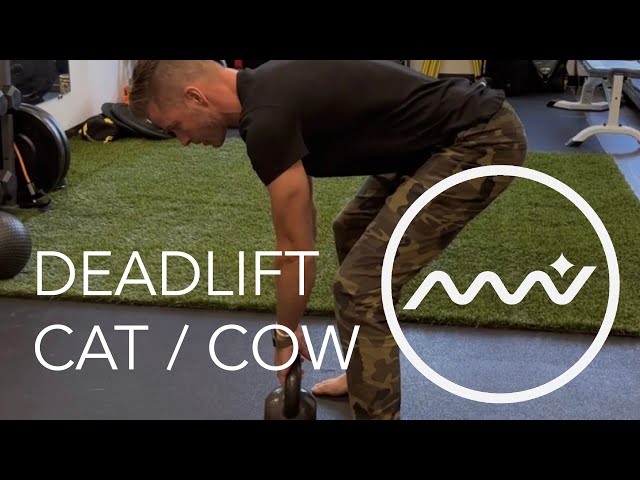 Isometric Deadlift with Cat Cow / Low Back Pain