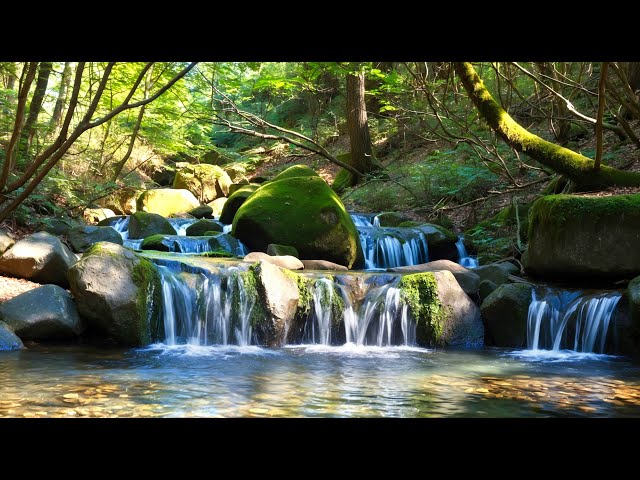 relaxing Waterfall Sounds And Serene Moss-covered Views For Instant Sleep And Deep Relaxation