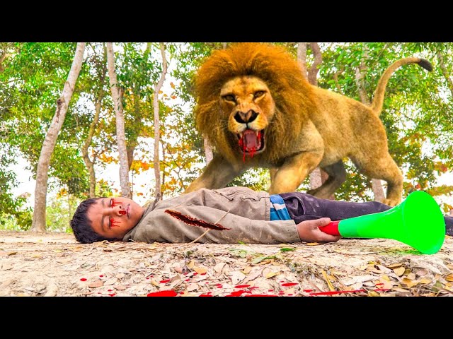 Lion Attack On Village Boy In Forest Road | Flute Playing Time