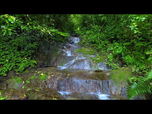 Nature Sounds Forest Waterfall - relaxing white noise for Deep Sleep, Meditation, concentrate, ASMR