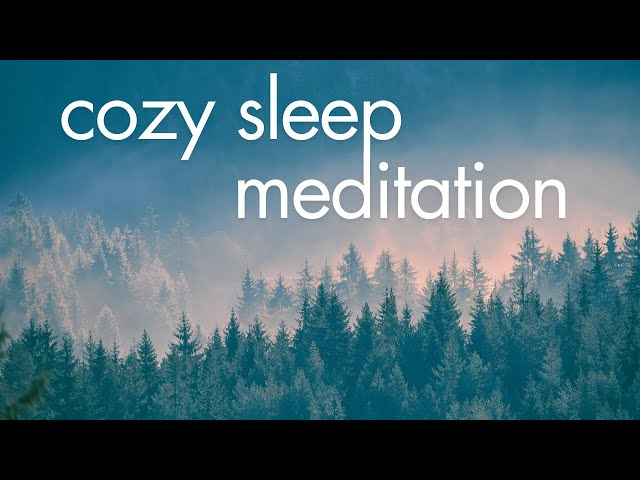 Wise Old Tree Sleep Meditation