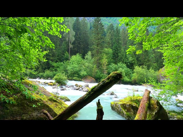 Relaxing Nature sounds | Deep sleep and Relax | Calm Water sounds | Free Copy Rights