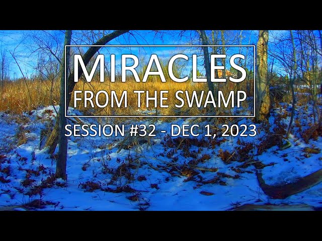 Miracles From The Swamp : Session #32 - December 1, 2023 at 1:47 PM | Virtual Reality / VR180