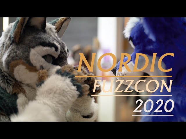 Nordic FuzzCon 2020 - Random Clips