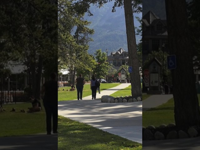 Urban Park in Canada #park #walking #canada