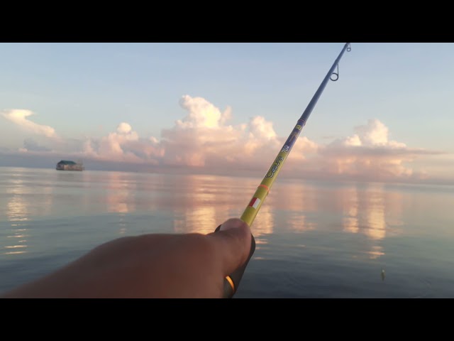 Ultralight Fishing | Episode 1 | clear water