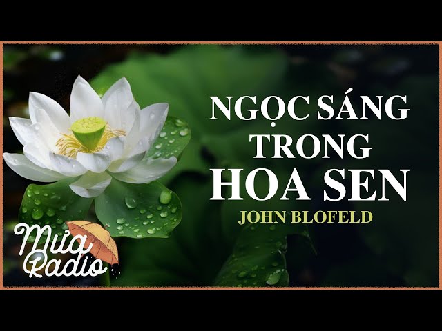 NGỌC SÁNG TRONG HOA SEN (Độc Quyền)  -  John Blofeld - Quốc Đại Dịch - Mưa Radio