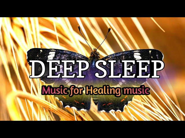 Relaxing Sleep ● Deep Sleeping Music, Relaxing Water Music, Stress relief, Sleep Meditation