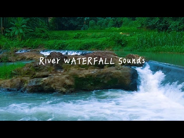 Relaxing River Sounds Waterfall for Sleeping, Water Healing Frequency | Nature Healing Video