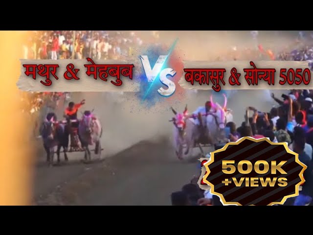 मोठा सोन्या 5050 आणि बकासुर 6300cc ने गाजवला ओवळे आड्डा😍 | Mathur vs sonya | Mathur vs bakasur 💯