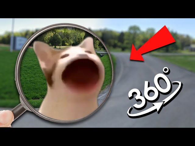 FIND POP CAT MEME | Pop Cat Finding Challenge 360º VR Video