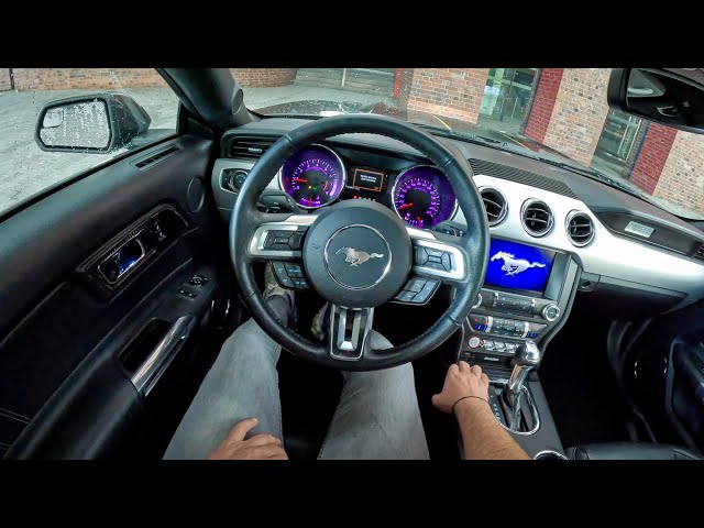 2017 Ford Mustang GT V8  [5.0 Ti-VCT 450HP] |0-100| POV Test Drive #1789 Joe Black