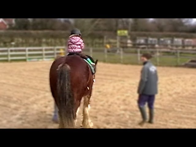 Worlds Biggest Horse and Worlds Smallest Jockey