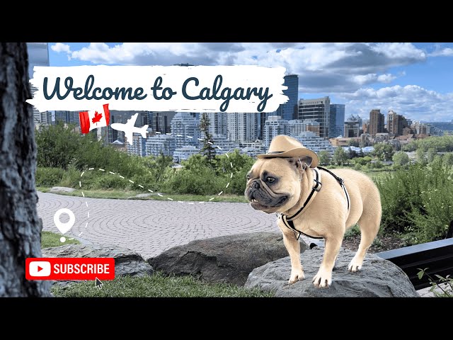 Crossing the Border: Exploring Calgary, Canada!