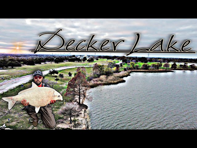 Catching GIANT Buffalo fish in Austin Texas **Decker Lake** | How to make carp bait