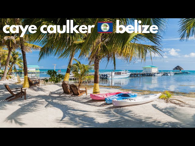 Belize 🇧🇿 Walking Tour Caye Caulker Walking Tour Caribbean Island