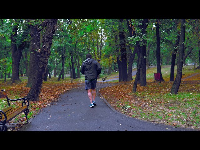 People Walking and Jogging in a Park - Copyright Free Reusable Stock Video HD