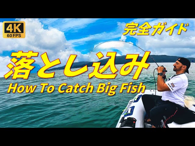 How we catch big yellowtail in Japan.