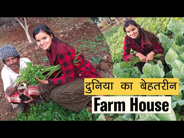 दुनिया का बेहतरीन Farm House Vlog-02 l Sonam Prajapati Village Vlog