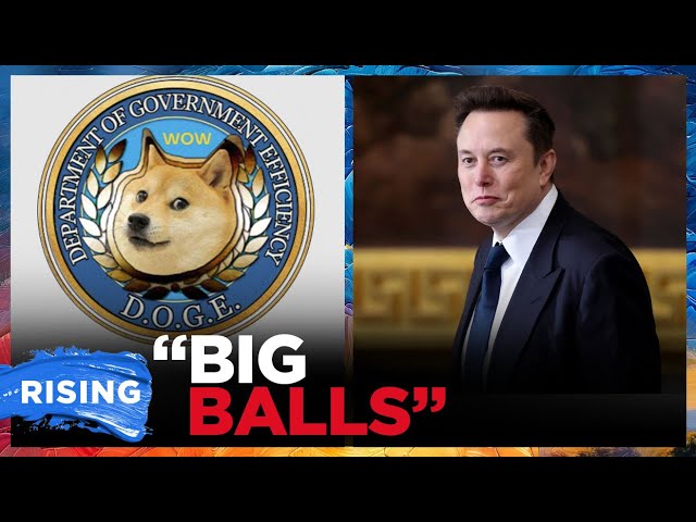 Kids Of DOGE: Engineer 'Big Balls' Goes Viral; Another Musk Staffer RESIGNS After Racist Posts