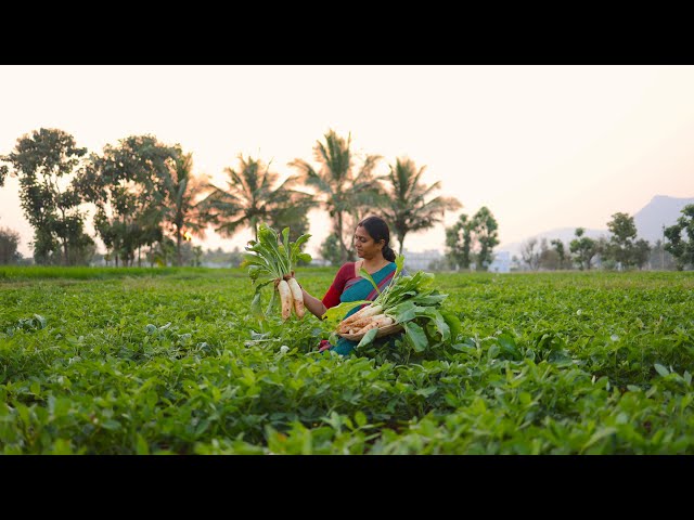 Raddish Recipes || Made Traditionally || ft. @The Tiny Foods Ram & Valar || The Traditional Life