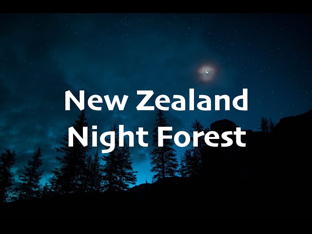 [1 Hour] New Zealand Relaxing Nature Sound | Night Forest | Native Birds | ASMR