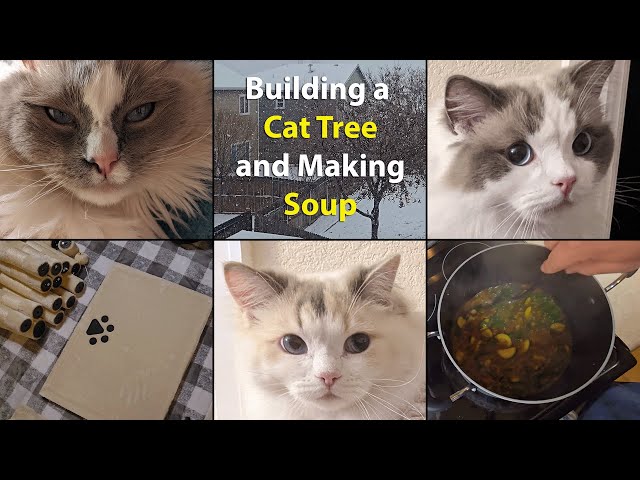 Upgrading Our Cats’ Tree & Cooking a Cozy Soup!