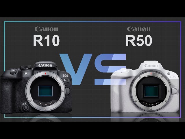 Canon EOS R10 vs Canon EOS R50