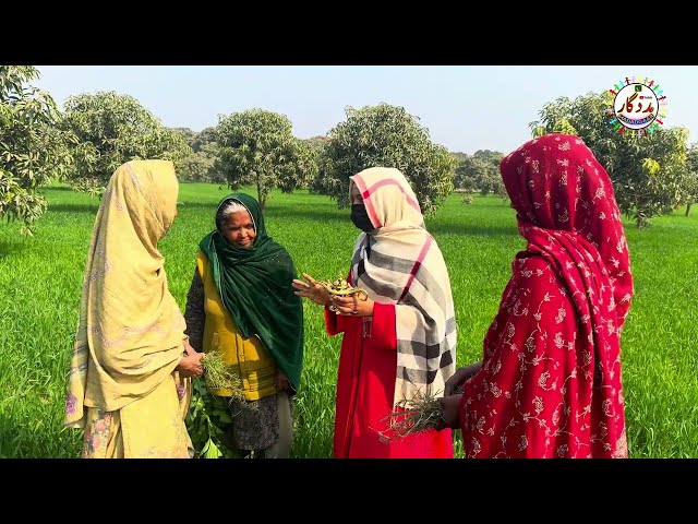 is orat ko Allah Deen ka chiragh mill gya | help poor people in Pakistan |Aao madad Karen#viralvideo