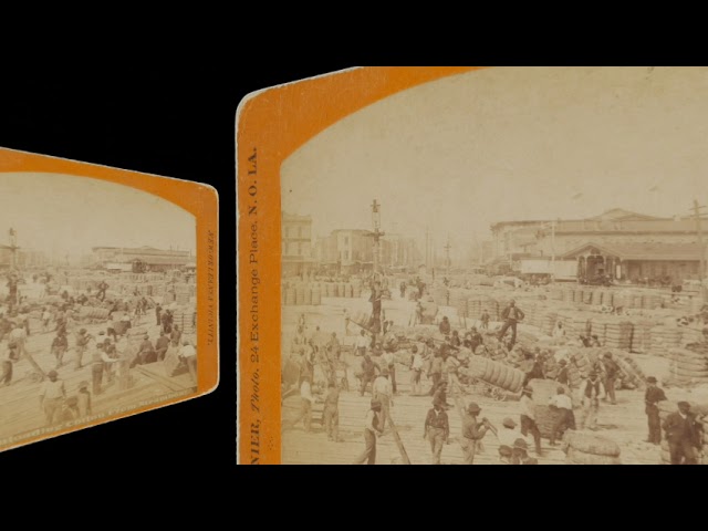 Unloading Cotton, New Orleans ~1880 (silent, still image)