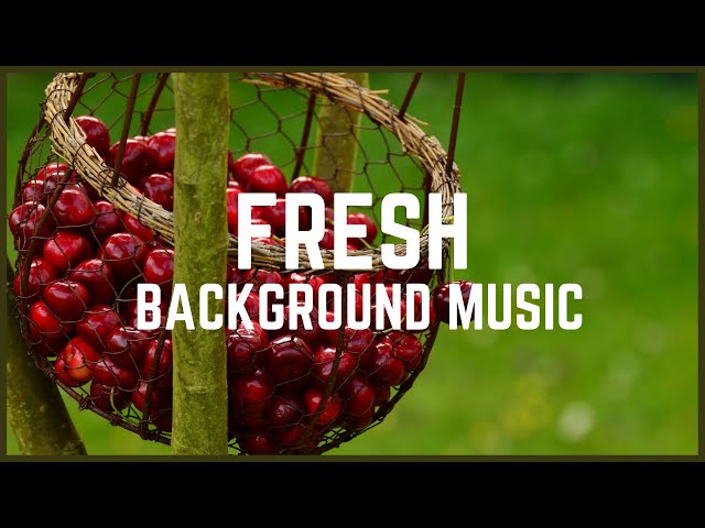 Fresh Background Music || No Copyright Music || Free Music