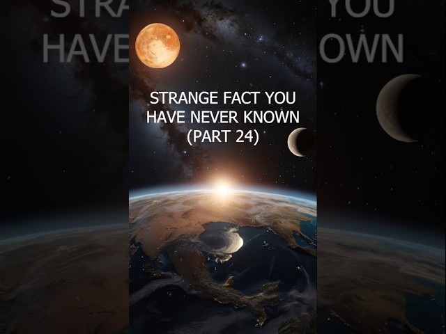 A strange fact you might not know - Part 24 #shorts #fyp #strangefacts  #mindblowingfacts