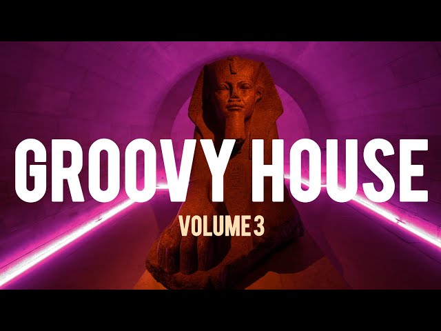 Groovy House Mix Vol.3 | The Best Funky House & Disco House Music