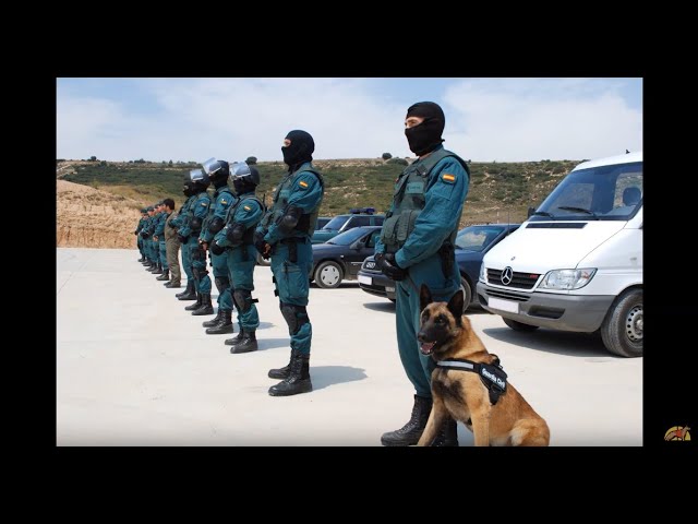 Unidad Canina del GAR: combatiendo el terrorismo