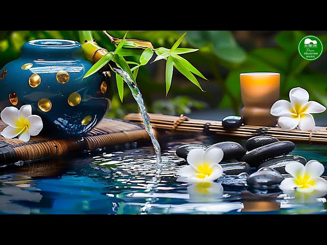 Relaxing Piano Music 🌿 Deep Sleep Music, Bamboo, Water Sounds, Meditation Music, Stress Relief