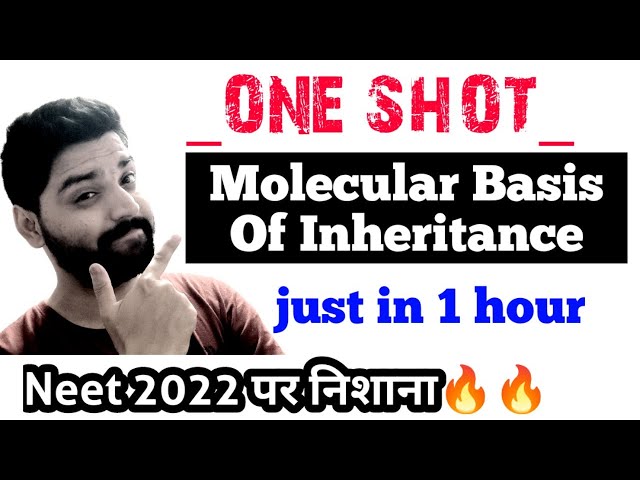 ONE SHOT: Molecular Basis Of Inheritance🔥🔥| Class 12 Biology | Neet 2022