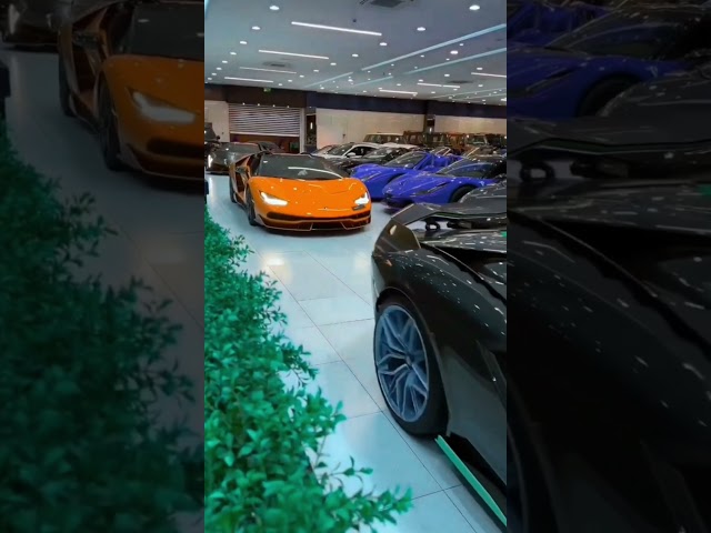 New car lover WhatsApp status Lamborghini new model status #carsnew#lamborghinni#viral #short#shorts