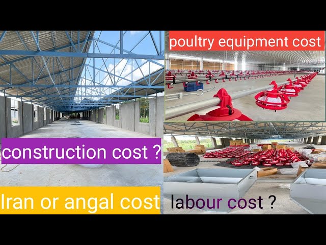 How to build low cost construction of Ec poultry farms  to 20000 birds capacity ???