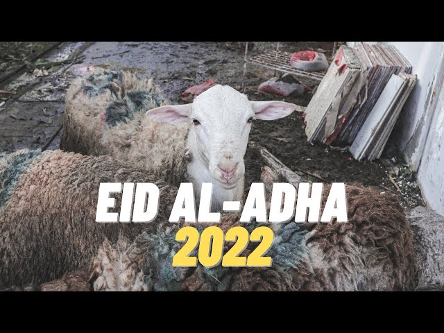 EID AL-ADHA 2022 | HARI RAYA AIDIL ADHA 2022