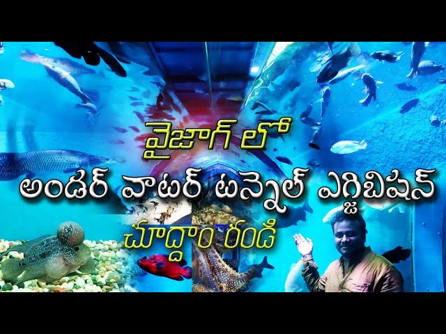 VIZAG LO UNDER WATER TUNNEL AQUARIUM EXHIBITION... 🐠🐠