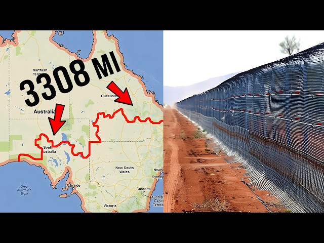 Why Did Australians Build the Longest Fence in the World?!