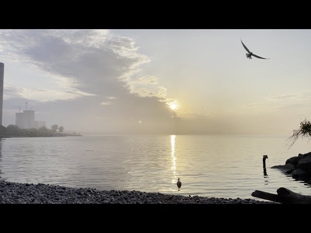 2021 06 04 Foggy Toronto Sunrise 4k