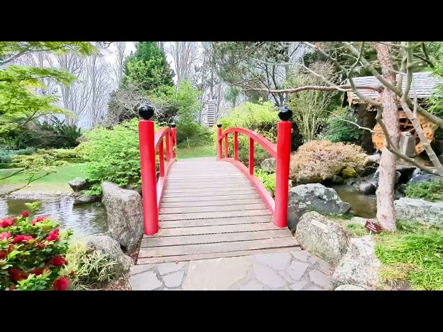 What a wonderful Japanese Garden, Hobart Botanical Garden, Tasmania Australia