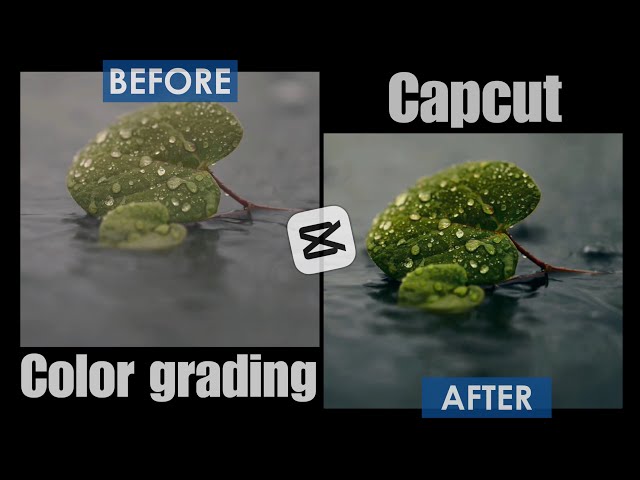 Cinematic Color Grading In Capcut Tutorial -